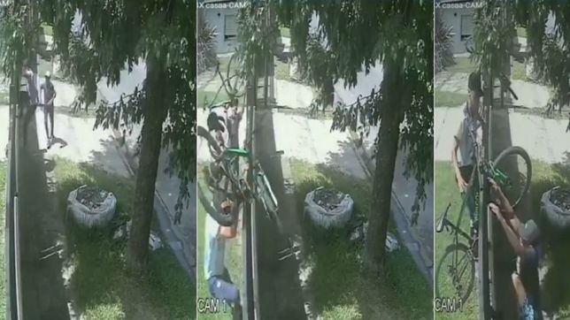 video: a plena luz del dia, saltaron el porton de una casa de city bell y robaron dos bicicletas