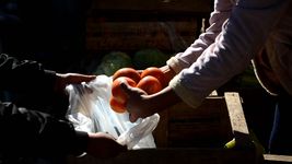 mercados bonaerenses abre en la plata: ¿que alimentos se pueden comprar con descuentos del 40% con cuenta dni? mercados bonaerenses abre en la plata: ¿que alimentos se pueden comprar con descuentos del 40% con cuenta dni?