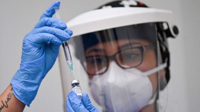 las primeras dosis de la vacuna de pfizer empezaran a llegar desde la proxima semana