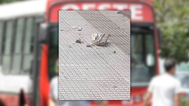 se bajo del oeste en pleno centro de la plata y le cayo un pedazo de mamposteria