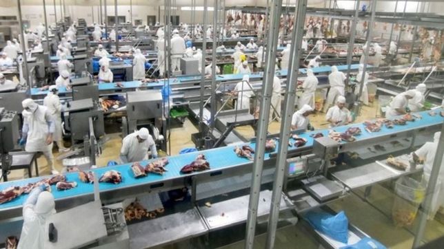 importante robo en el frigorifico de gorina: se llevaron la plata para pagar los sueldos