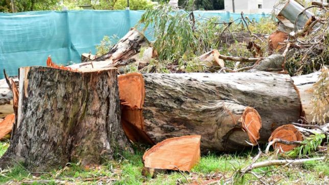 despues de los destrozos, la polemica por el bajo nivel de 1 y 32 exploto en el concejo