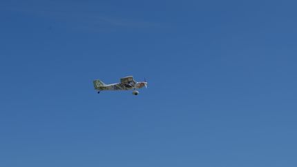 El avión eléctrico de la UNLP voló por primera vez y sorprendió a todos