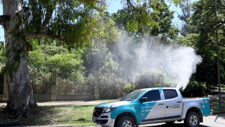 fumigacion bosque mosquitos-0009.JPG