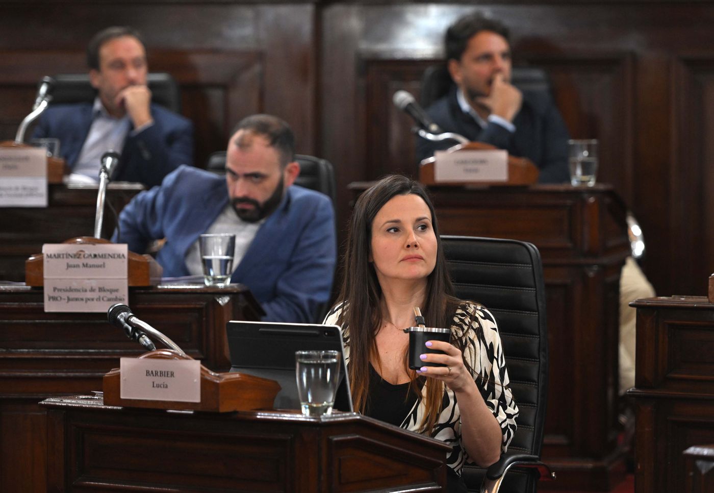 Sesión Concejo Deliberante (17) Lucía Barbier