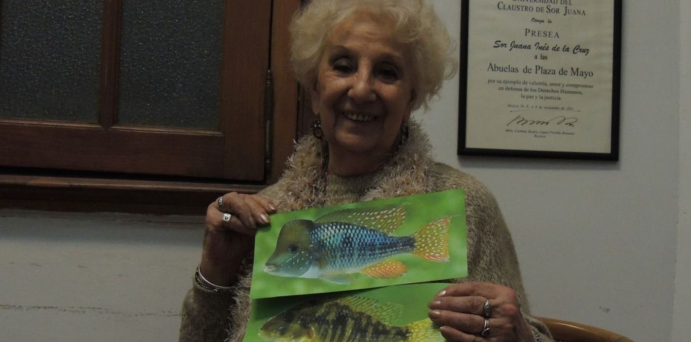 1581658285389.jpg?rotate=0&ow=1500&oh=1125&width=1485&y=23&height=743&scaleX=1&scaleY=1&x=4&&cw=1920&ch=950