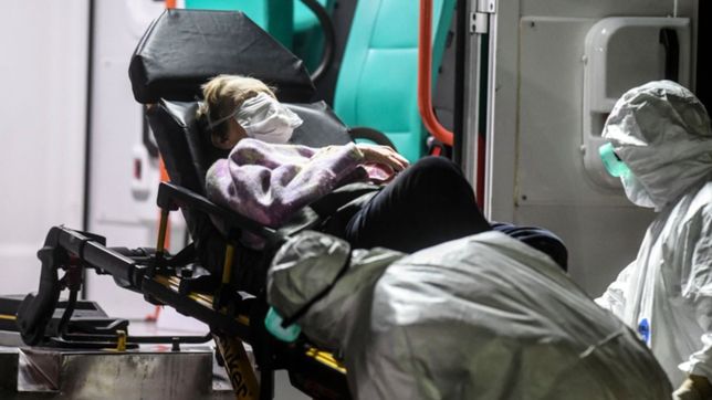 coronavirus en argentina: se registraron 197 muertes y 8.771 contagios en 24 horas