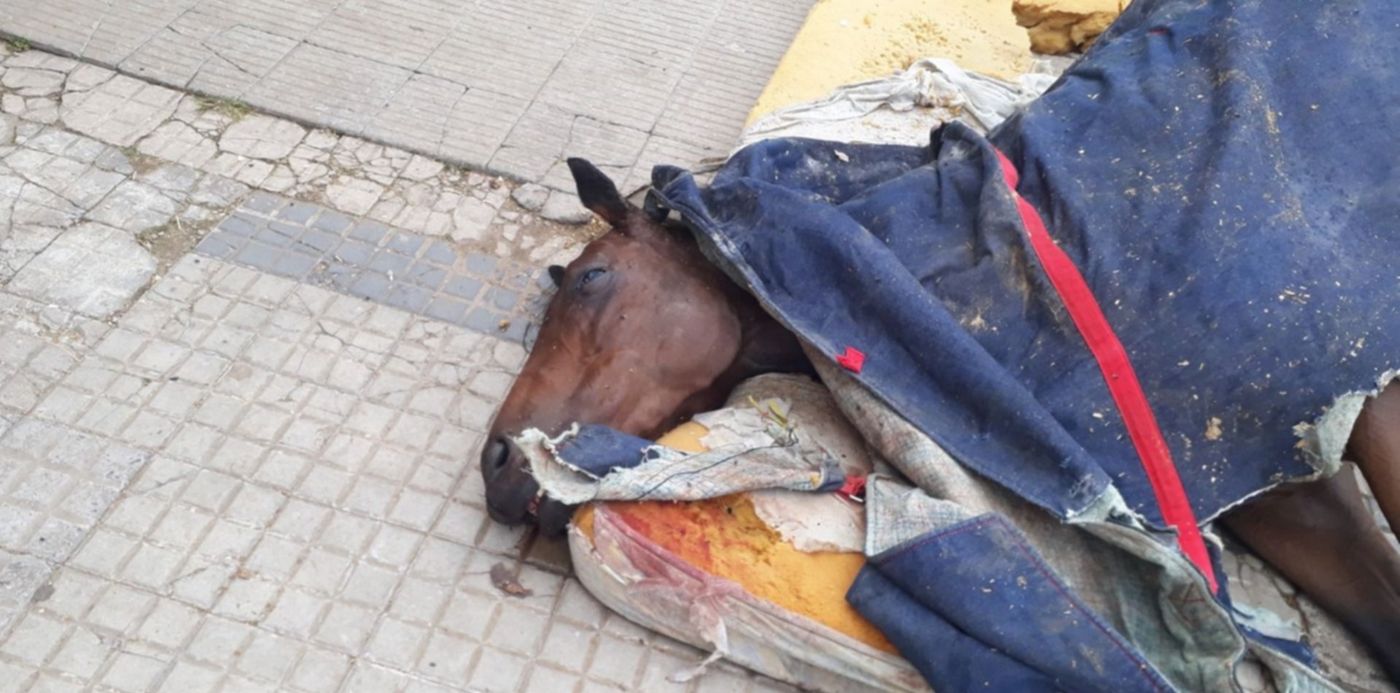 1524145020038.jpg?&cw=1920&ch=950