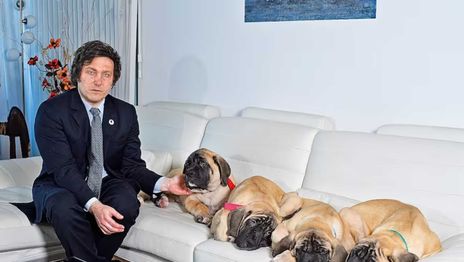 Murió Robert, uno de los perros de Javier Milei en la Quinta de Olivos Murió Robert, uno de los perros de Javier Milei en la Quinta de Olivos