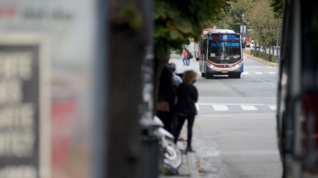 choferes inician un nuevo paro de micros: ¿que pasara en la plata?