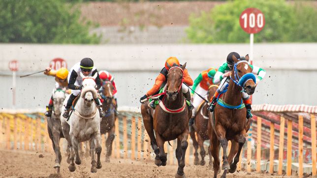 un gran premio dardo rocha diferente: asi se vivira la carrera en el hipodromo