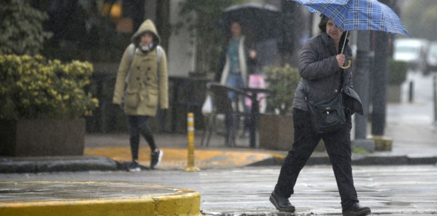 1542105586476.jpg?width=1478&scaleY=1&oh=843&ow=1500&x=9&y=101&height=739&rotate=0&scaleX=1&&cw=1920&ch=950