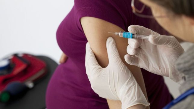 provincia convoco a las embarazadas a vacunarse contra la bronquiolitis