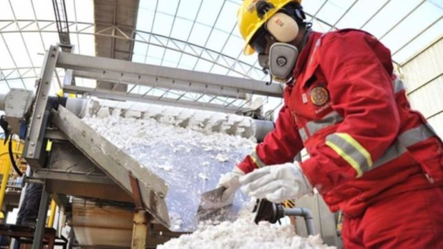 la planta de baterias de litio de la unlp podria empezar a funcionar a partir del 2023