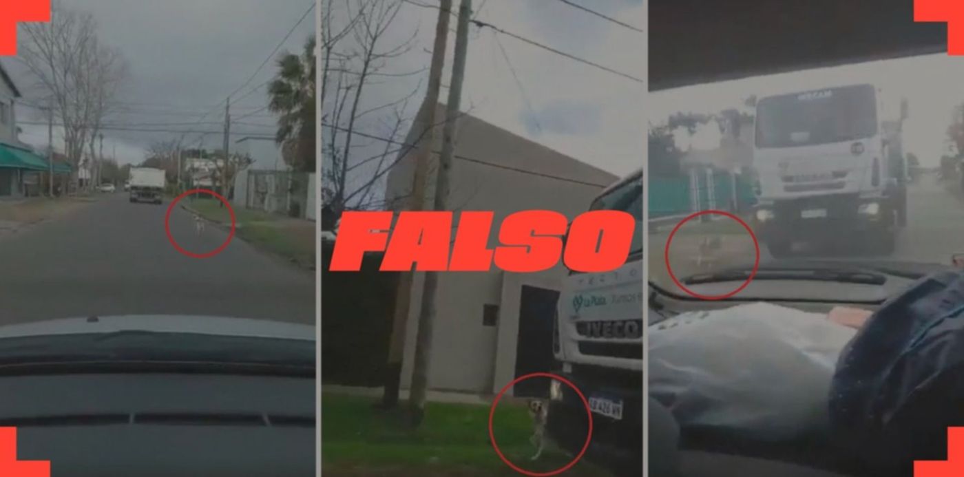 1627491046510.jpg?x=8&y=0&width=1484&height=742&rotate=0&scaleX=1&scaleY=1&ow=1500&oh=742&&cw=1920&ch=950