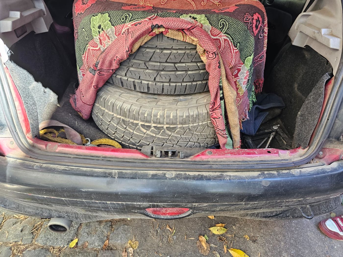 WhatsApp Image 2024-04-24 at 13.08.03.jpeg