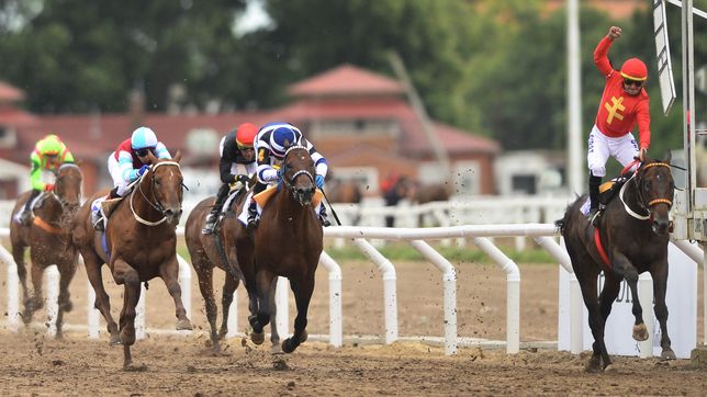 los jockeys y cuidadores levantaron la medida y vuelven las carreras al hipodromo de la plata