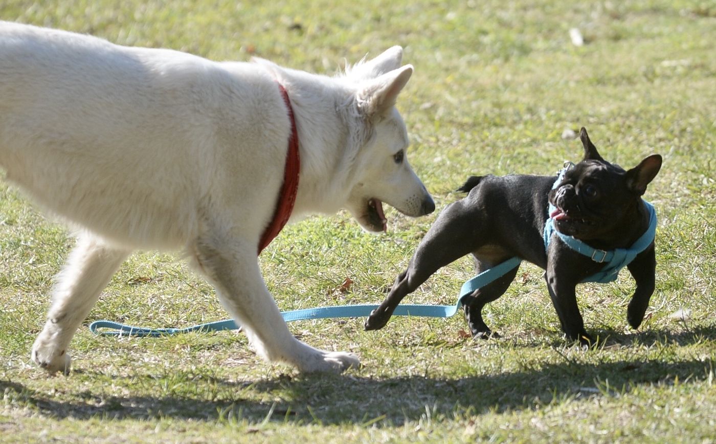 Clima sol soleado (4).jpg