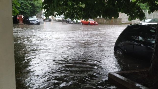 el concejo deliberante define si la plata entra en emergencia climatica por 18 meses