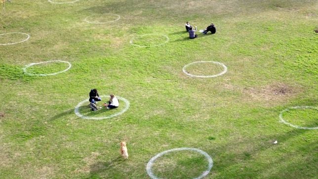 #eldronede0221: asi se vieron plazas y parques de la plata durante las salidas saludables