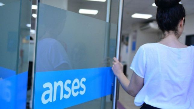 descuentos de anses del 50% para auh, aue y mas: ¿que grupo accedera al beneficio?