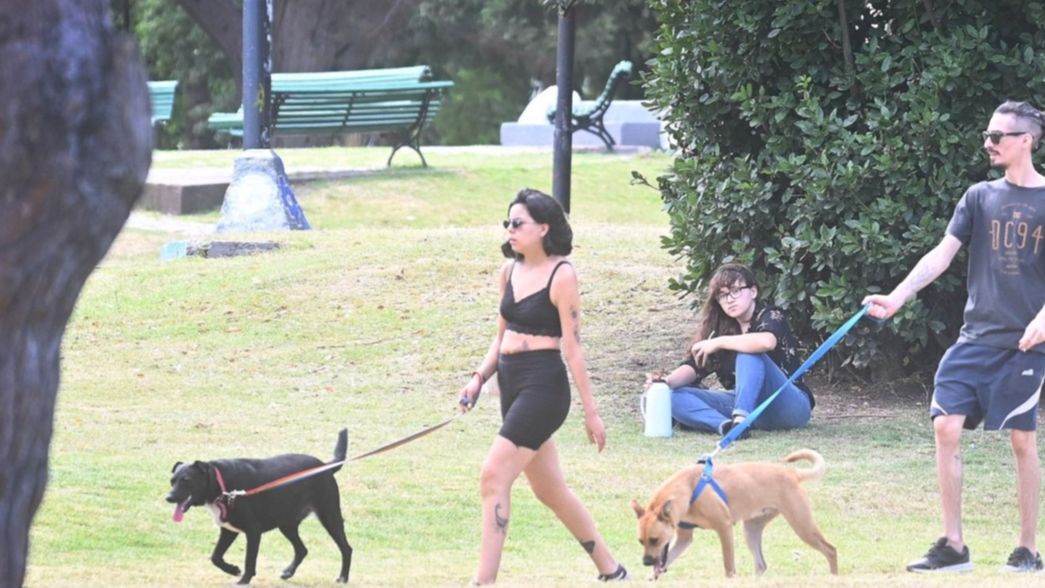 Sábado con calor y algunas nubes: así estará el clima en La Plata