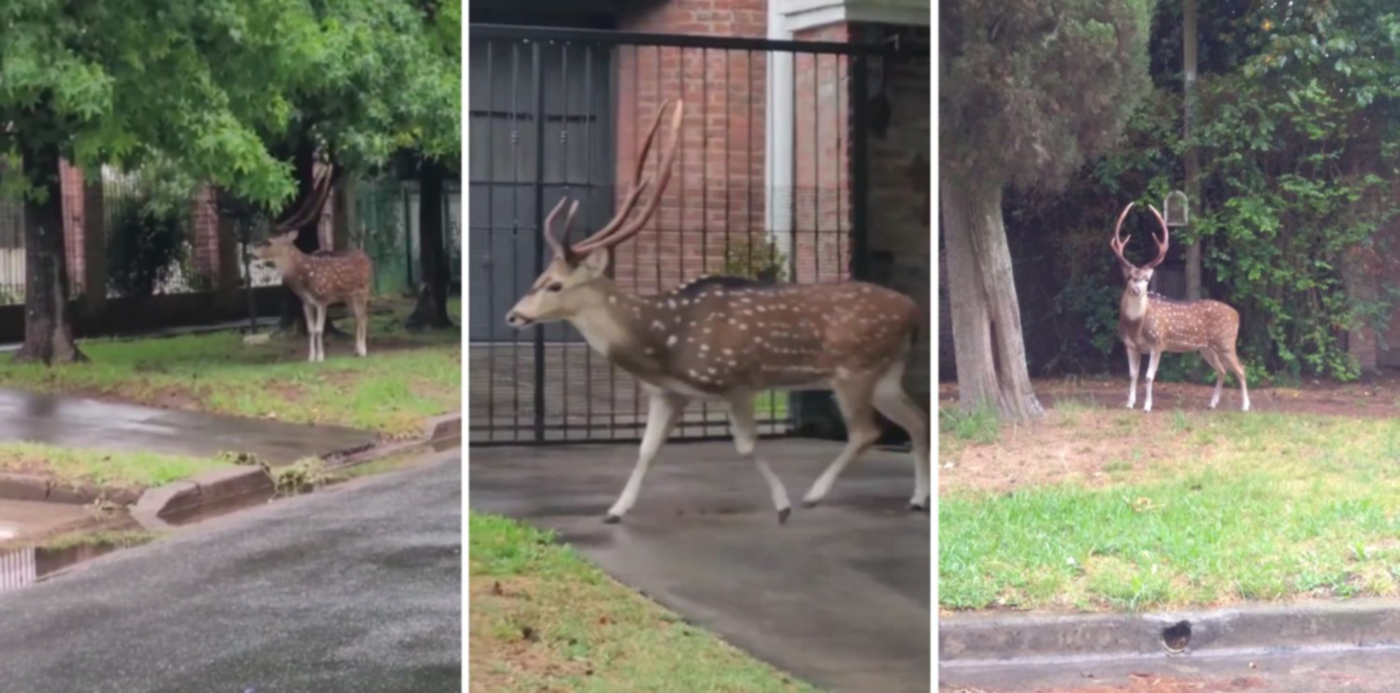 1671110398853.jpg?&cw=1920&ch=950