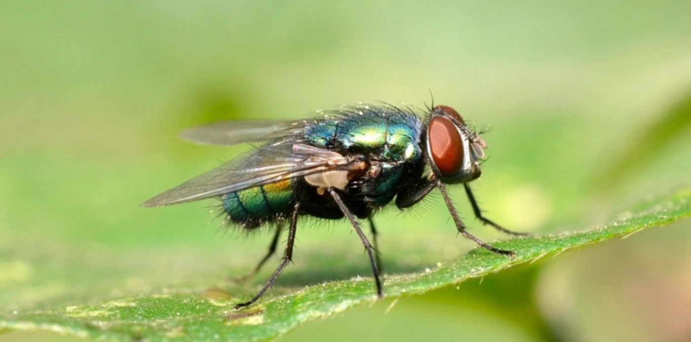 1547160372768.jpg?x=18&y=69&scaleY=1&ow=1500&oh=826&width=1393&height=696&rotate=0&scaleX=1&&cw=1920&ch=950