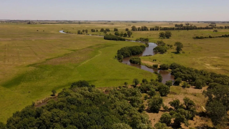 Arte, música y naturaleza se unen en un nuevo festival por el humedal del arroyo El Pescado Arte, música y naturaleza se unen en un nuevo festival por el humedal del arroyo El Pescado