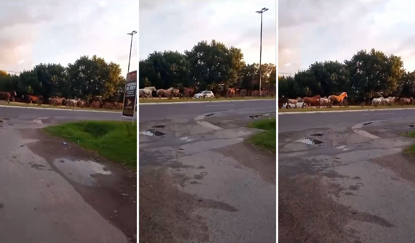 Diseño sin título (6).png