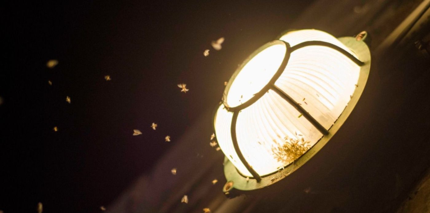 1550771618408.jpg?y=87&width=1490&height=745&rotate=0&scaleX=1&oh=1000&x=7&scaleY=1&ow=1500&&cw=1920&ch=950