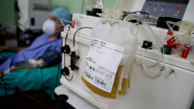 cientificos argentinos aseguran que el plasma transforma al covid-19 en un mal catarro