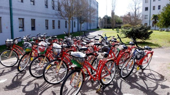 abre la inscripcion a las becas de la unlp: ¿que ofrecen y con que requisitos?