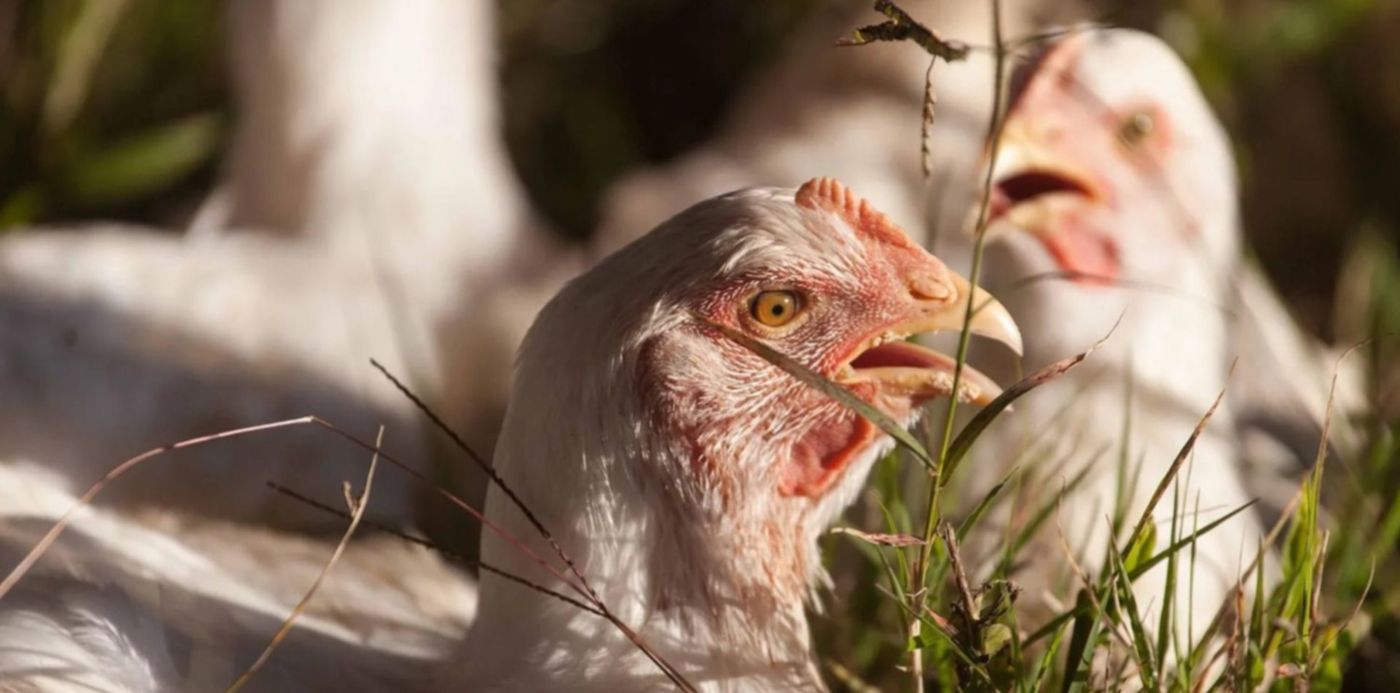 1652226438293.jpeg?x=10&y=77&width=1480&height=740&rotate=0&scaleX=1&scaleY=1&ow=1500&oh=1000&&cw=1920&ch=950