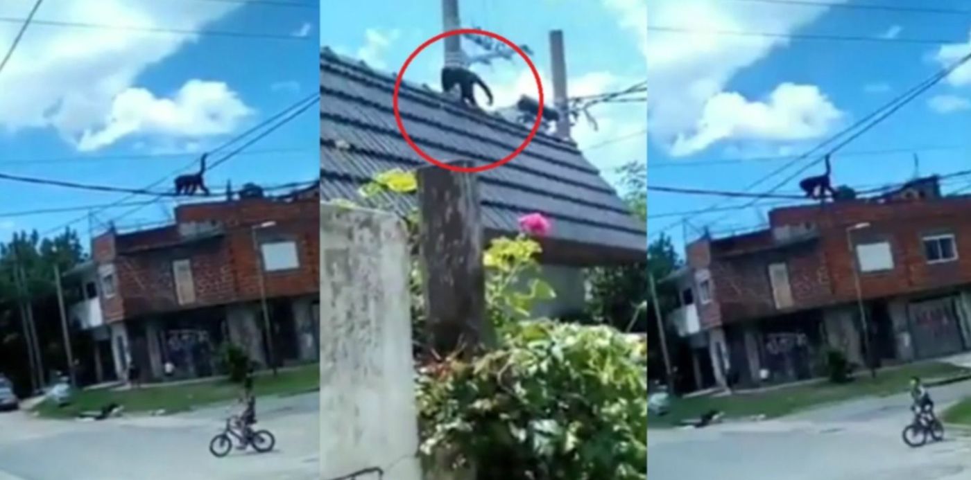 1548326750447.jpg?oh=810&y=22&width=1489&height=744&rotate=0&x=10&scaleX=1&scaleY=1&ow=1500&&cw=1920&ch=950