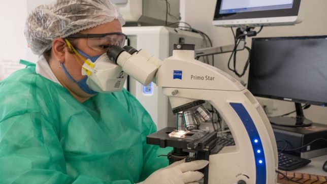 covid-19 en argentina: 115 muertes y 10.776 casos nuevos