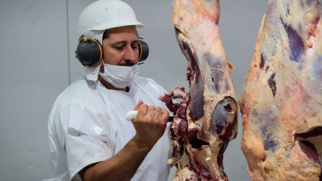el gobierno prohibio por dos anos la exportacion de asado y otros seis cortes de carne