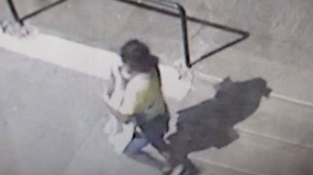 video: denuncian que una mujer vestida de enfermera se robo a una beba de un hospital