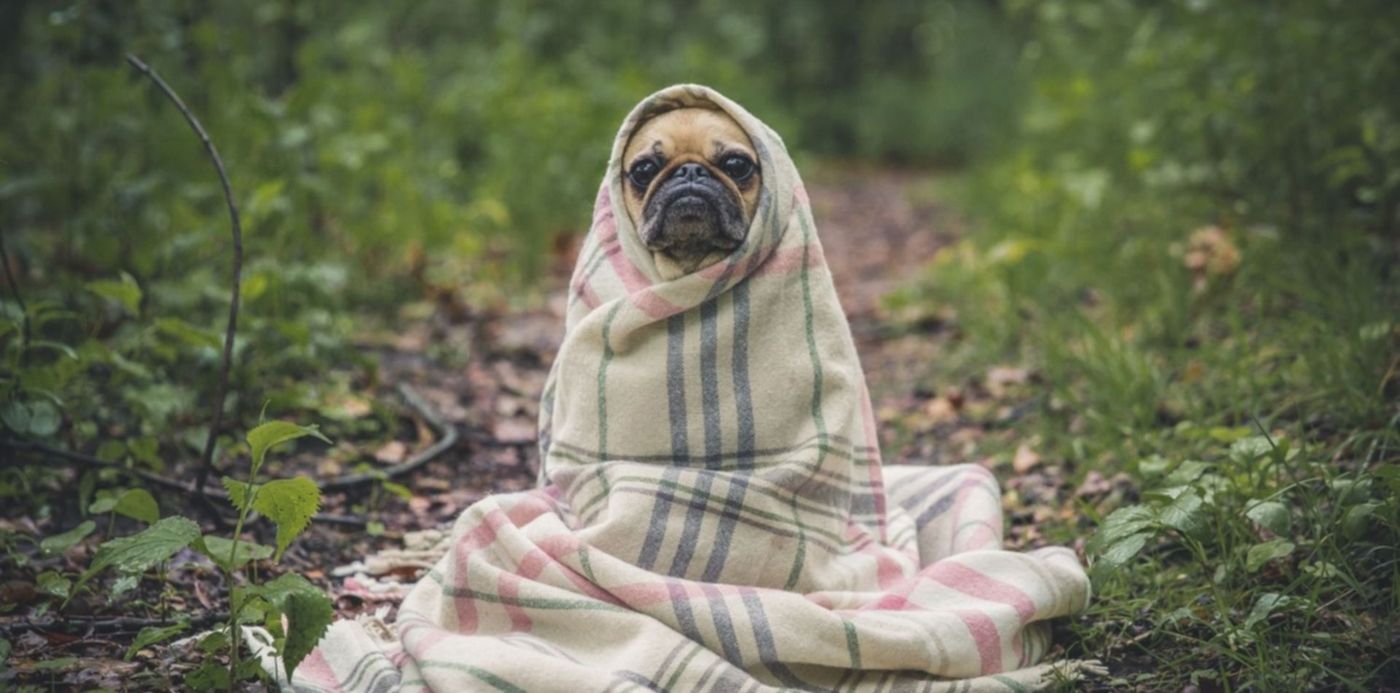 1546355596168.jpg?&cw=1920&ch=950