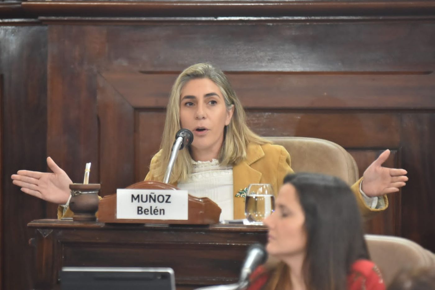 La concejal del PRO - Libertad, Belén Muñoz. La concejal del PRO - Libertad, Belén Muñoz.