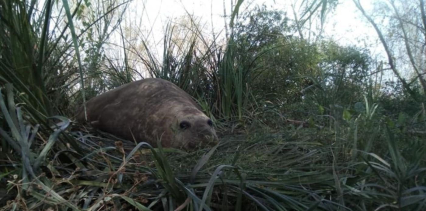 1558985499002.jpg?rotate=0&scaleX=1&scaleY=1&y=69&width=956&height=478&x=2&ow=960&oh=720&&cw=1920&ch=950