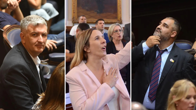 ¿quien es quien en la lista de postulantes a diputados de fuerza patria?