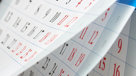 ¿feriado o dia no laborable?: que pasara este viernes 21 de noviembre ¿feriado o dia no laborable?: que pasara este viernes 21 de noviembre