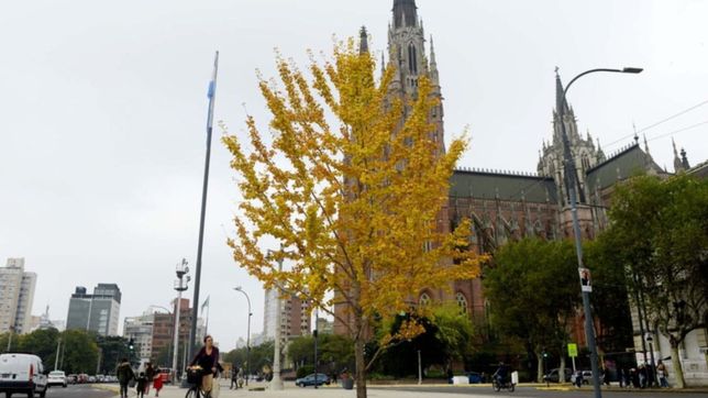ola polar en la plata: la semana arranca con temperaturas bajo cero y asi estara el clima