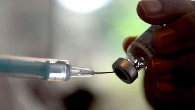 una infectologa de la plata explico por que los vacunados deben seguir cuidandose