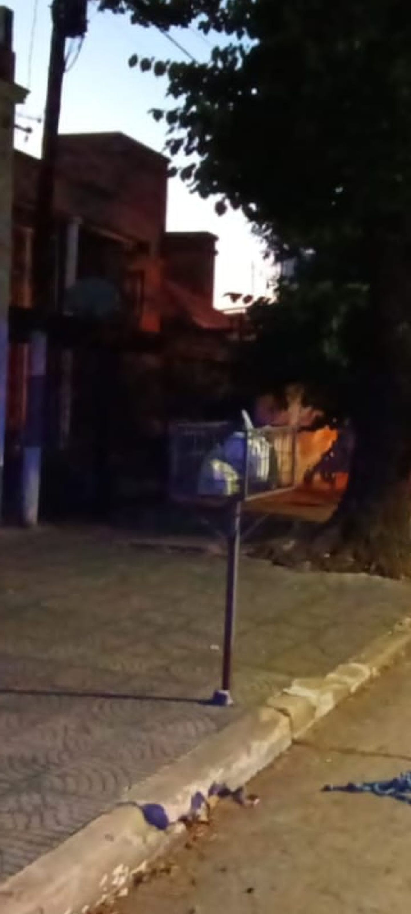 El canasto de basura donde vecinos de La Plata hallaron una granada de mano El canasto de basura donde vecinos de La Plata hallaron una granada de mano