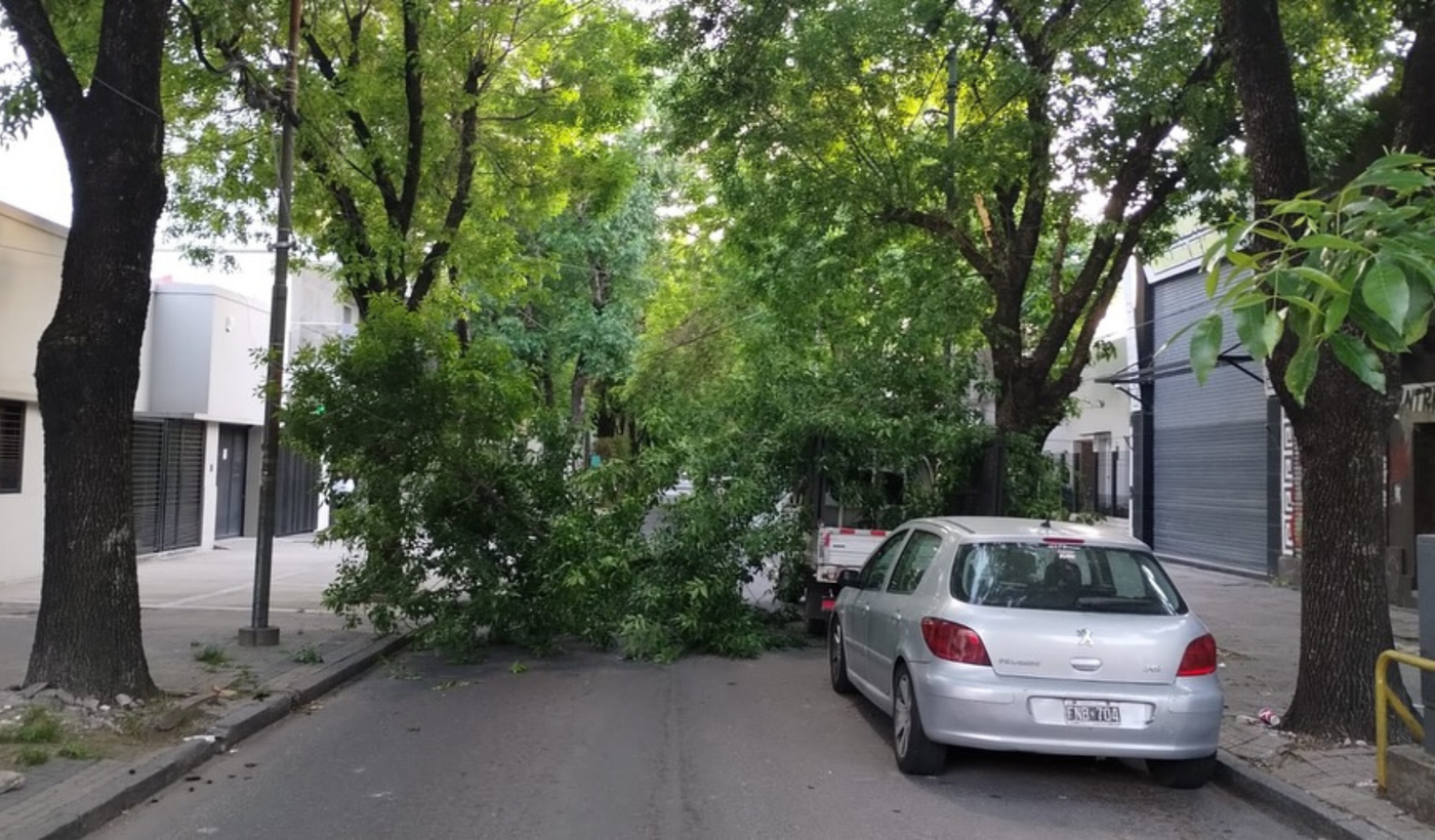 Diseño sin título (36)