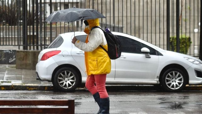 alerta amarillo en la plata: anuncian fuertes vientos y tormentas