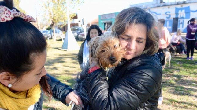 una ong que rescata mascotas lanzo una rifa para salvar la vida de perros y gatos