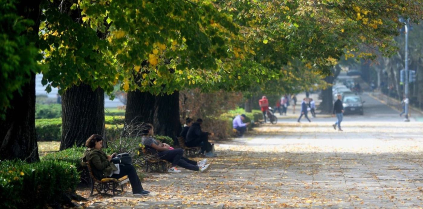 Clima Otoño Nublado Hojas